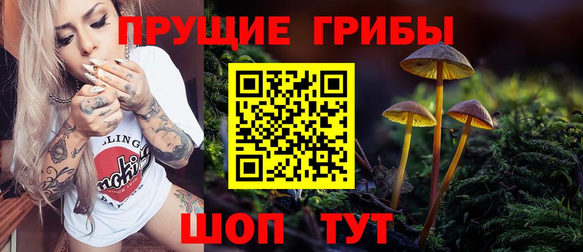 Галлюциногенные грибы MAGIC MUSHROOMS  хочу   Галлюциногенные грибы Magic Shrooms  Красноперекопск  Вход с VPN 